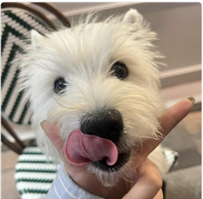 可靠海外客户开发